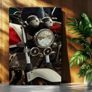 تابلوشاسی CB 1300 HONDA کد۰۰۸