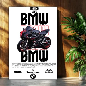 تابلوشاسی موتور سنگین  BMW S1000 RR)