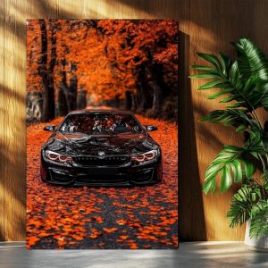 تابلوشاسی ماشین BMW درپاییز
